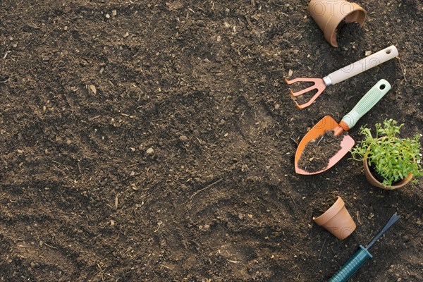 Tools pots with plants soil. Resolution and high quality beautiful photo