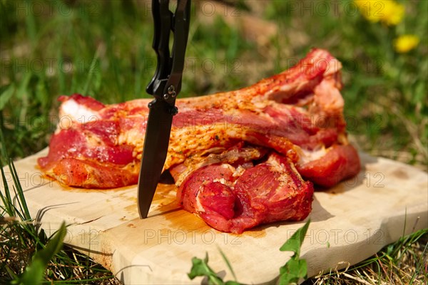 Fresh pork ribs with salt and pepper on cutting board outdoor. Selective focus photo