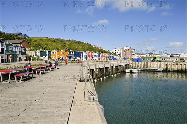 Lobster stalls at the inland harbour