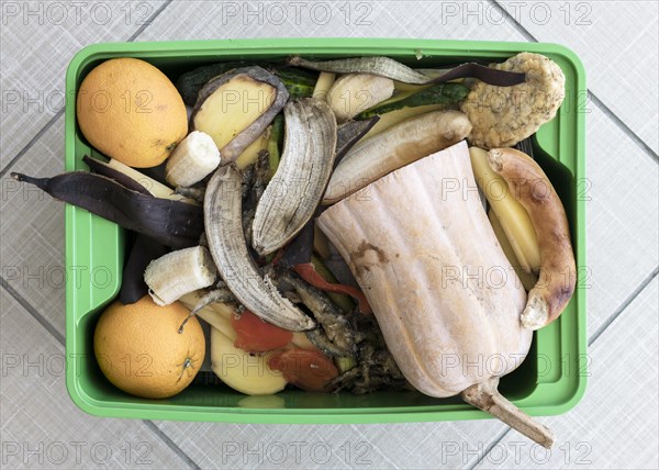 Top view recycling bin with organic vegetables. Resolution and high quality beautiful photo