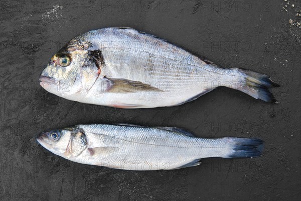 Fresh seabass and seabream fish on black stone background