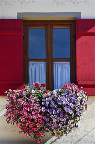 Window with flower decoration