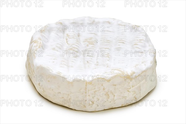 Brie cheese isolated on white background