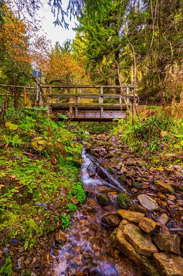 Long exposure of a small stream in the Schoenjungferngrund in the Ore Mountains below the Fichtelberg