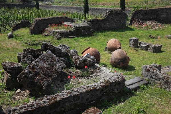 The amphora field at the Garden of Refugees