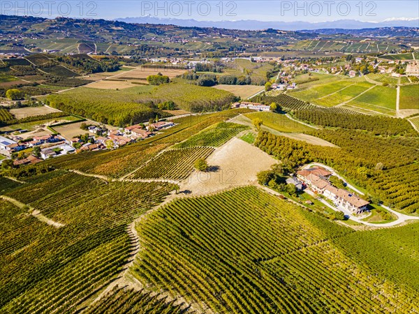 Aerials of the wineyards around Castle of Grinzane Cavour