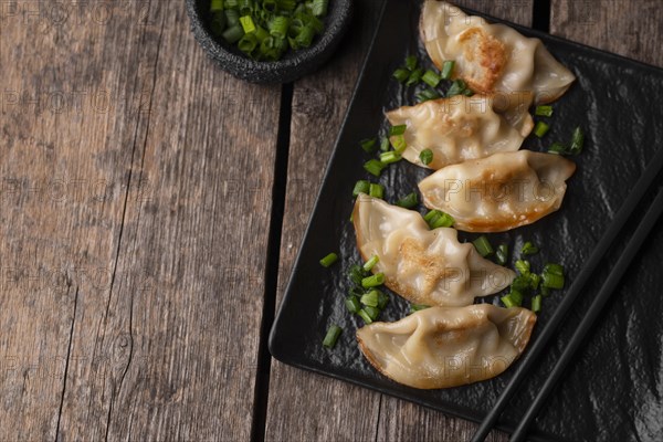 Flat lay of asian dumplings dish with herbs and copy space