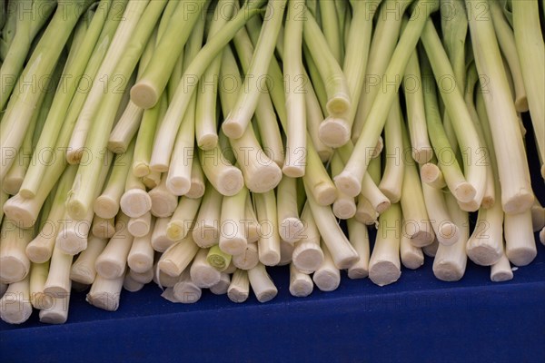 Leeks are in a Turkish street bazaar