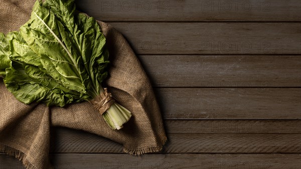 Top view chard kale with copy space. Resolution and high quality beautiful photo