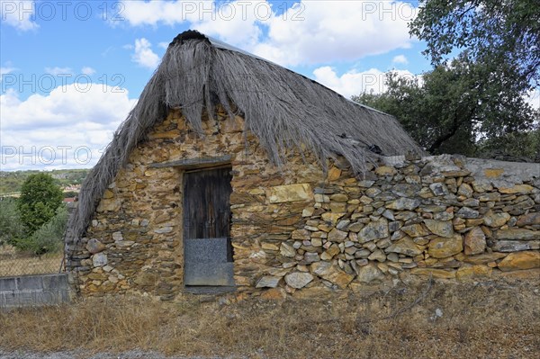 Shepherd's hut