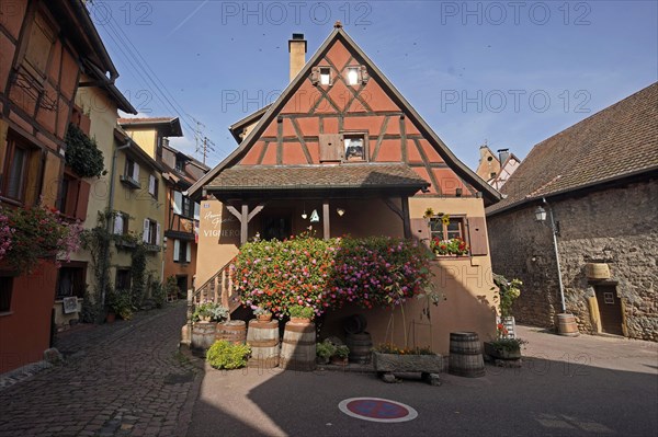 Colourful half-timbered houses in the historic old town of Eguisheim