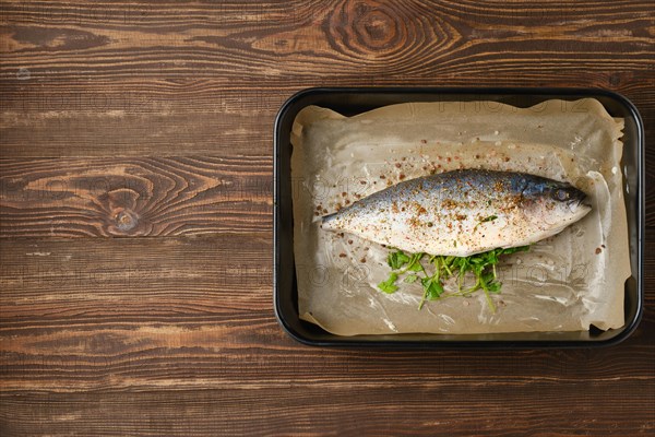 Fresh sea yellow tailed horse mackerel ready for cooking