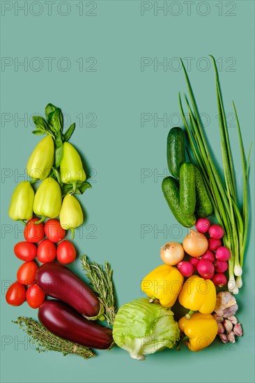 Composition with fresh vegetables on pale green background
