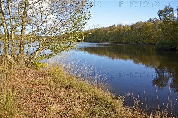 Veenhuser Koenigsmoor nature reserve