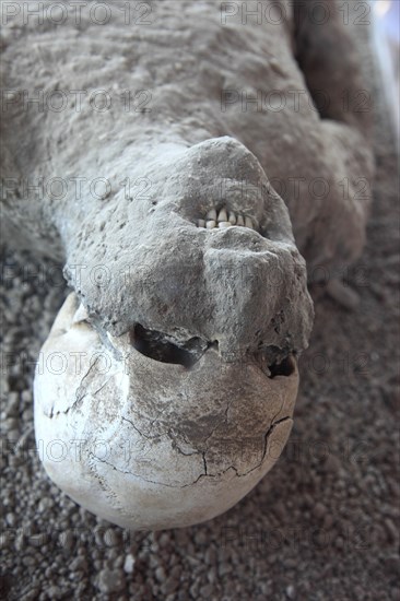 Victims of the ash rain in the garden of the refugees