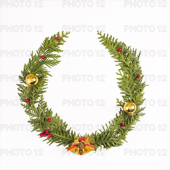 Christmas fir wreath