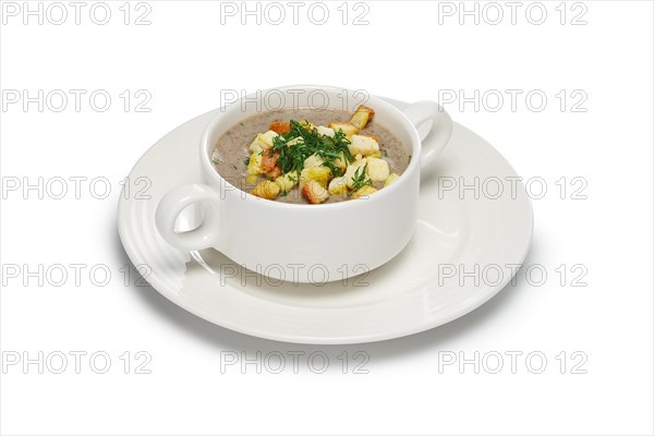Layout for menu. Mushroom soup puree