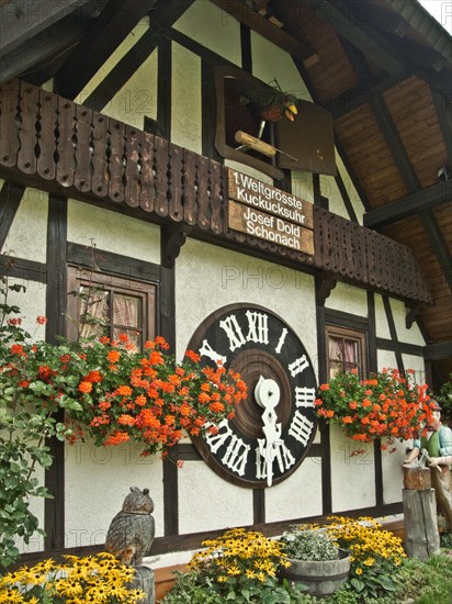 1st world's largest cuckoo clock