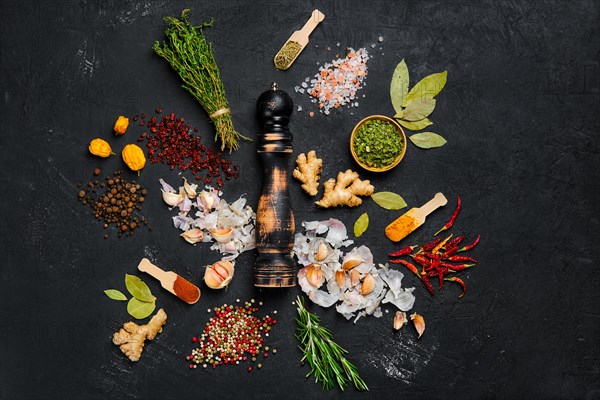 Assortment of spice and seasonings scattered on dark background