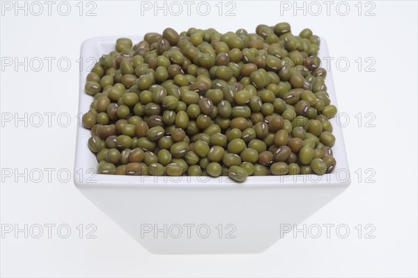 Mung bean