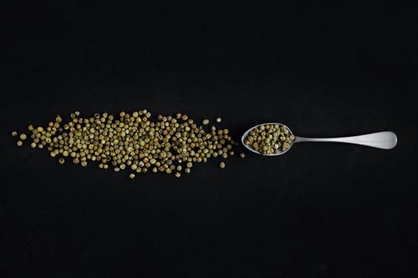 Dry green pepper scattered near metal spoon on dark background