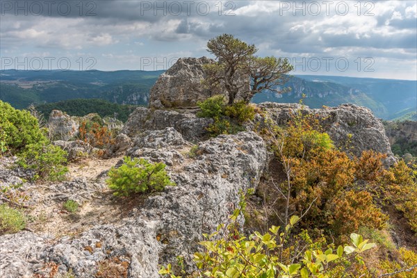 The city of stones