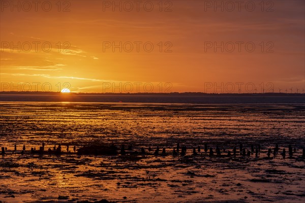 Sunrise in the Wadden Sea National Park