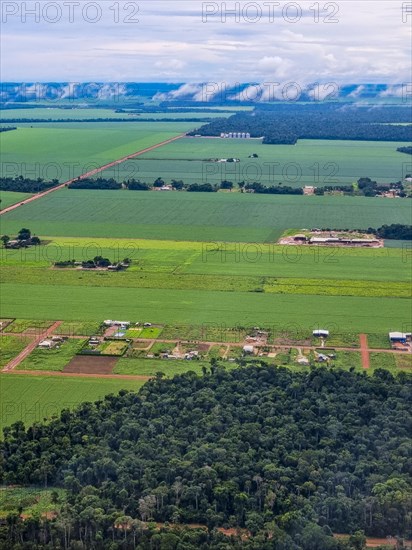 Aerial of the giant soy fields around Sinop