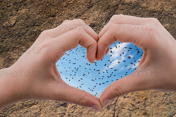 Flock of birds are seen behind a heart shaped hand