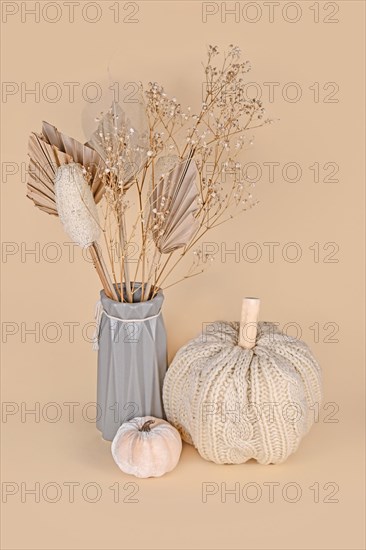 Autumn decoration with boho style knitted beige pumpkin and dried flowers