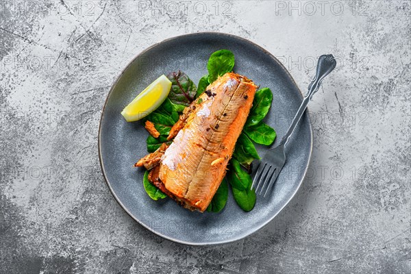 Top view of plate with red salmon baked in oven with spice