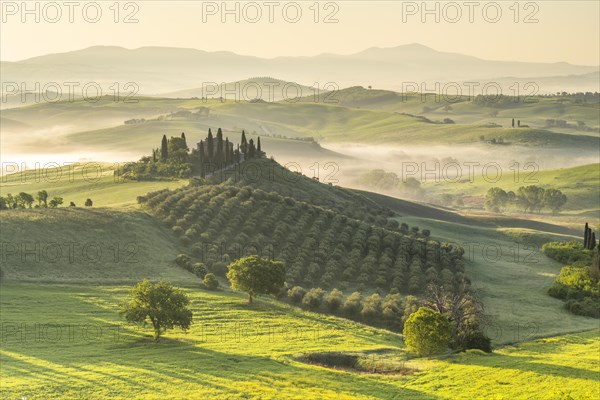 Podere Belvedere