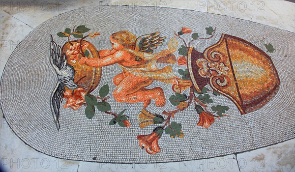 Mosaic on the floor