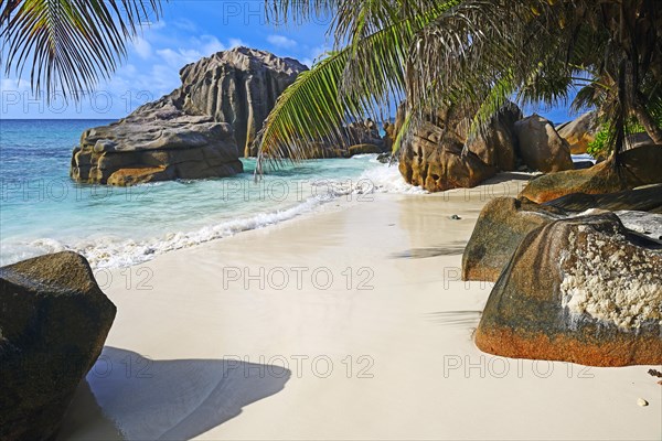 Dream beach Anse Patatas