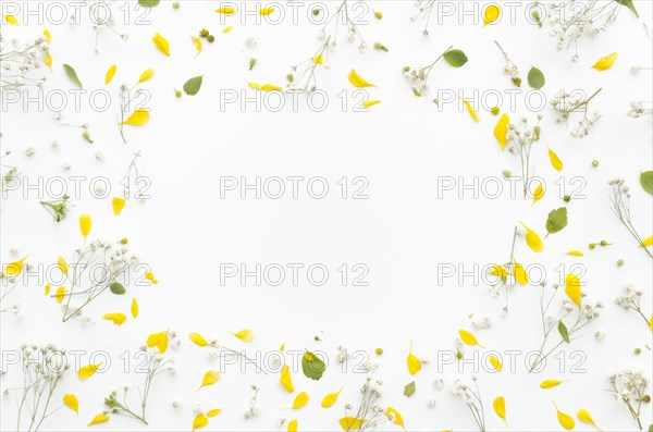 Decorative frame flowers