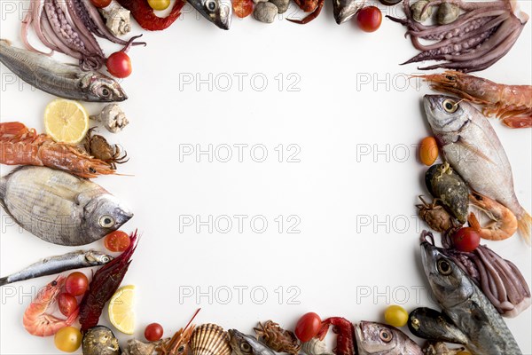 Top view assortment seafood frame. Resolution and high quality beautiful photo