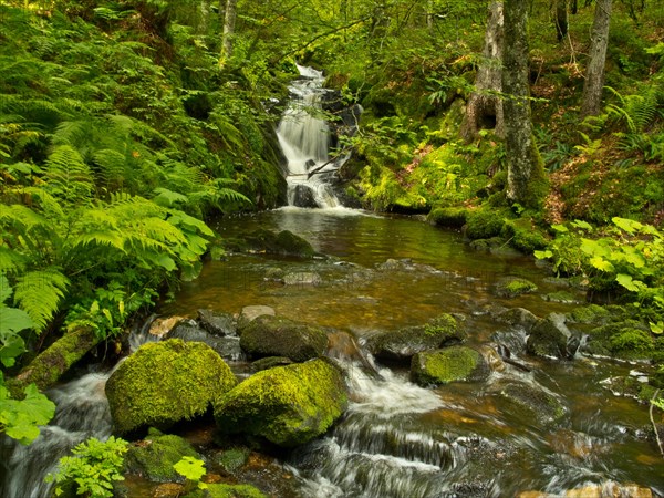 Cascades of the Menzenschwander Alb