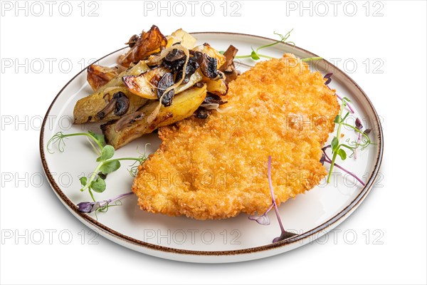 Tasty schnitzel in breading with fried potato