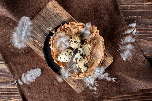 Overhead view of feathers falling on a bowl with quail eggs