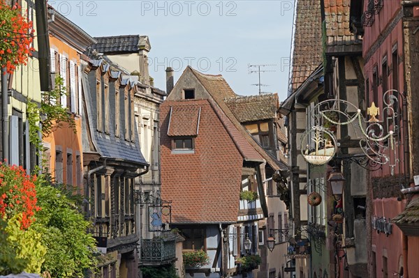 Colourful half-timbered houses in the historic old town of Riquewihr