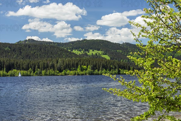 Schluchsee