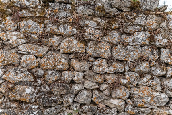 Stone wall on the Causse Mejean in the Cevennes. Aveyron