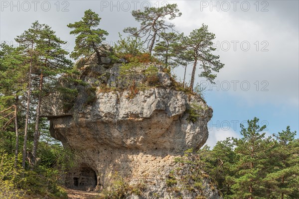 Wild landscape in Cevennes National Park