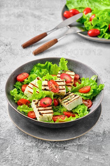 Salad with grilled cheese