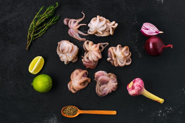 Small frozen octopus with spice and herbs on black concrete background