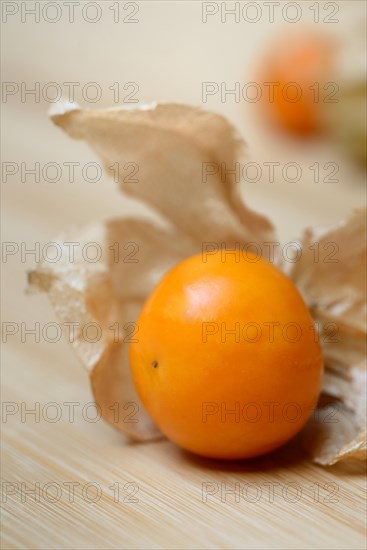 Physalis