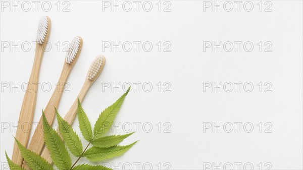 Copy space tooth brushes