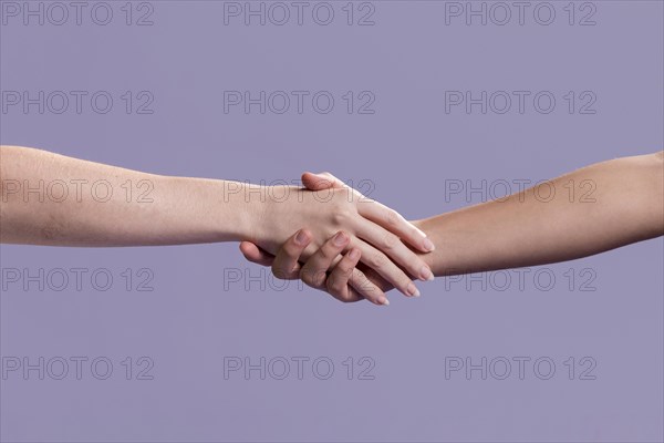 Women handshake as sign peace. Resolution and high quality beautiful photo