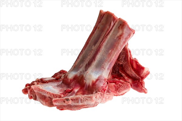 Raw fresh deer ribs isolated on white background