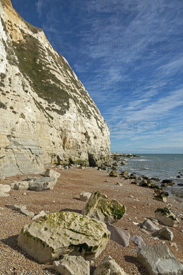 Chalk cliffs